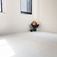 The Invincible Hall ico