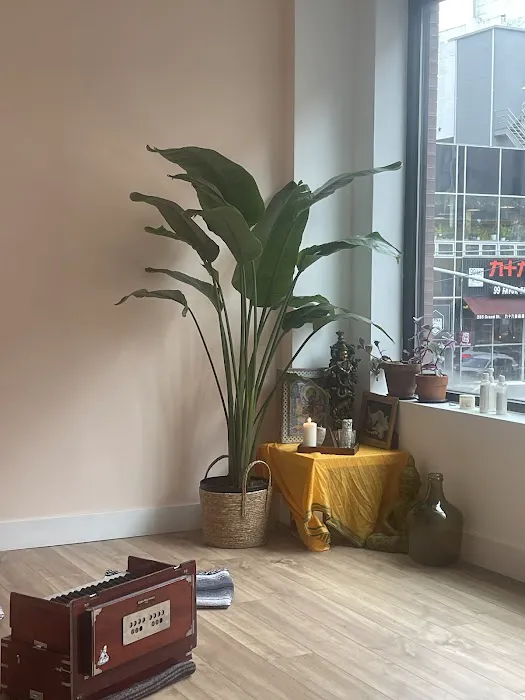 Jivamukti Yoga Collective- New York 4