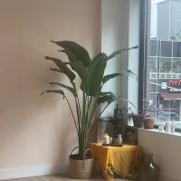 Jivamukti Yoga Collective- New York ico