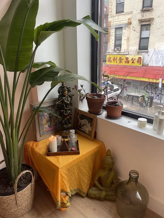 Jivamukti Yoga Collective- New York 4