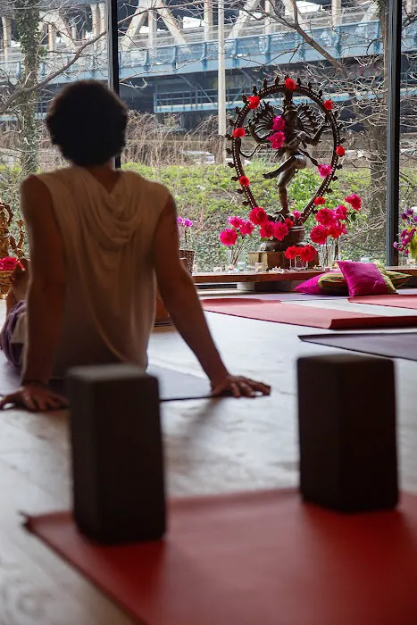 Abhaya Yoga Dumbo 4