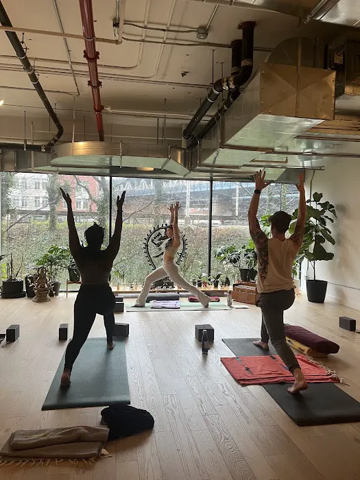 Abhaya Yoga Dumbo 4