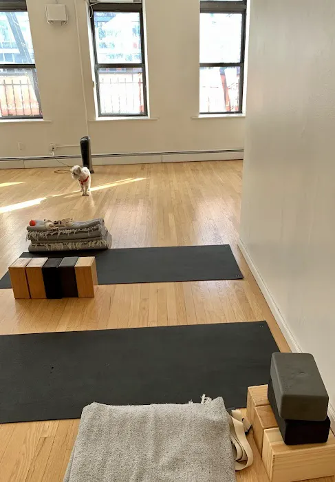 The Studio 3