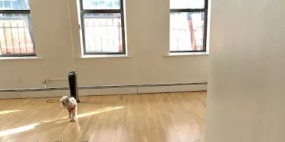 The Studio