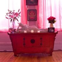 The Shala Yoga | Fort Greene ico