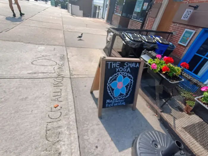 The Shala Yoga | Fort Greene 4