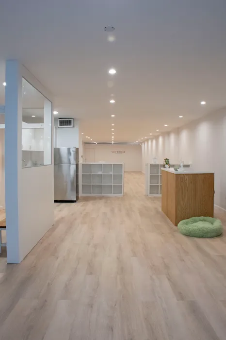 Woof Wellness 4