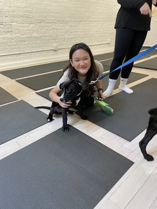 Woof Wellness 4
