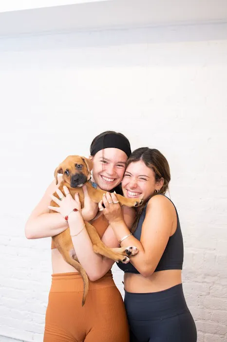 Woof Wellness 4