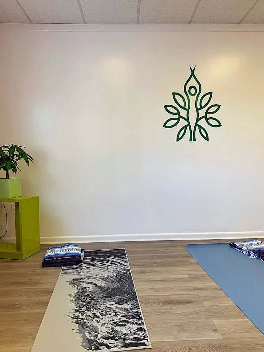 Energy Flow Yoga Studio 4