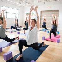 Three Birds Yoga Studio ico