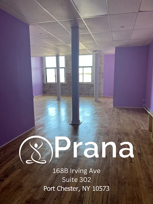 Prana Prenatal Yoga & Education 3
