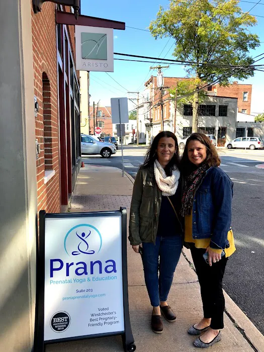 Prana Prenatal Yoga & Education 3