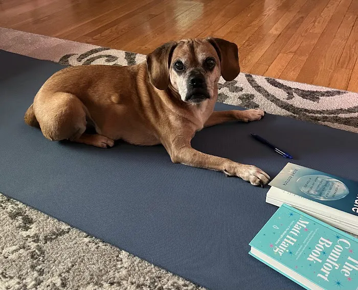 Release Yoga Studio 4