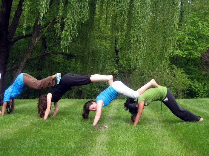 Willow Tree Yoga 4