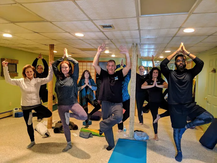 Willow Tree Yoga 4