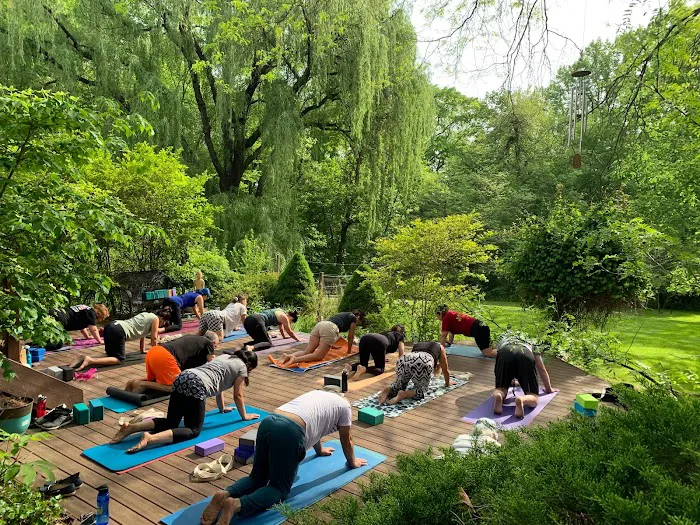 Willow Tree Yoga 4