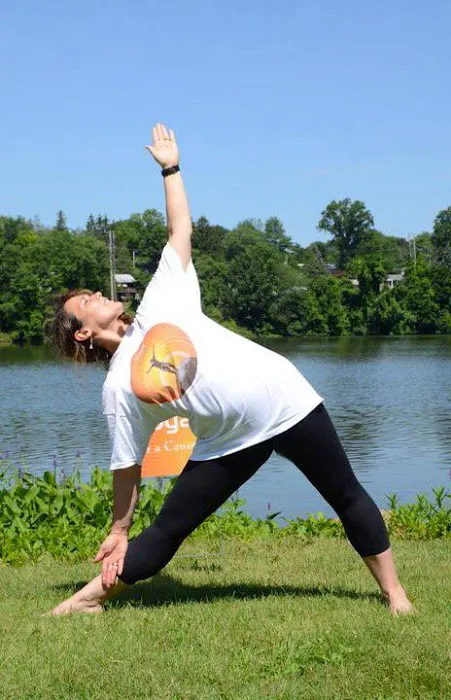 Willow Tree Yoga 4