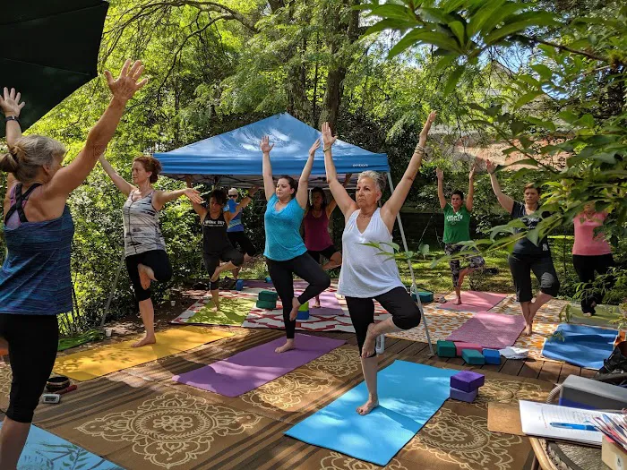 Willow Tree Yoga 4