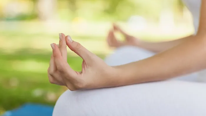 Willow Tree Yoga 4