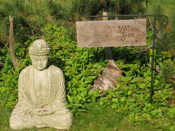 Willow Tree Yoga 4