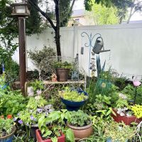 Garden Goddess ico