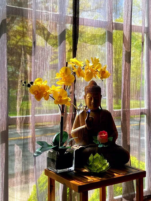 The Studio for Yoga 5