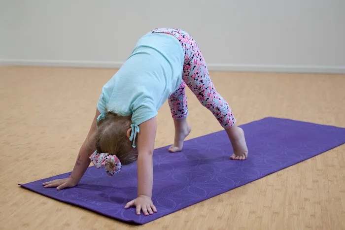 Moondog Yoga Studio Inc. 3
