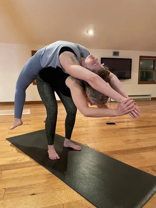 Ananda Ashram Yoga Studio 4