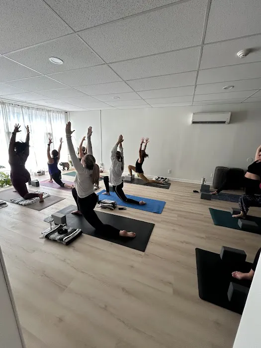 Dharma Yoga 4
