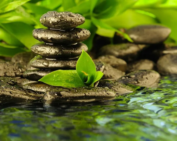 The Balance Center for Natural Health 4