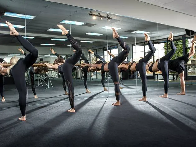 Purenergy Studio 4