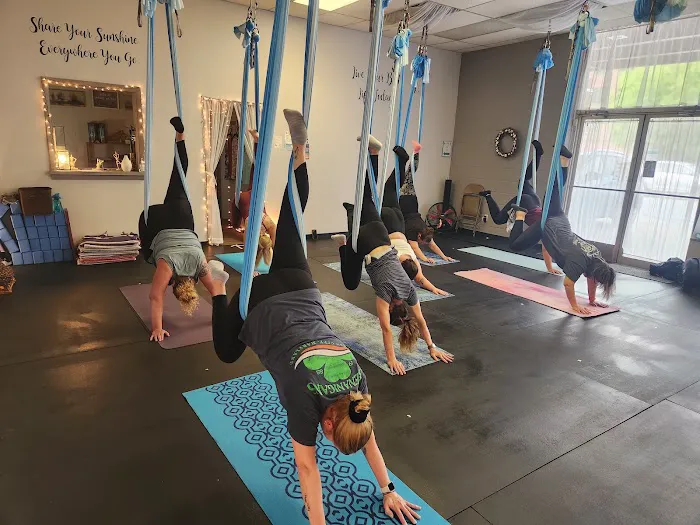 Schuylkill Aerial and Wellness 4