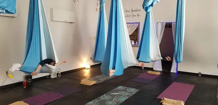 Schuylkill Aerial and Wellness 4
