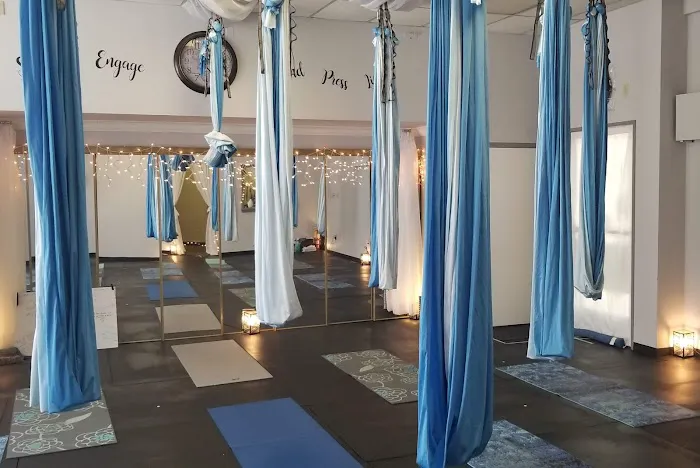 Schuylkill Aerial and Wellness 4