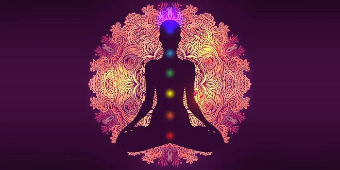 Yoga Artist Retreat & Dream Theater 5