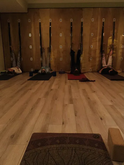 Zen Squirrel 4