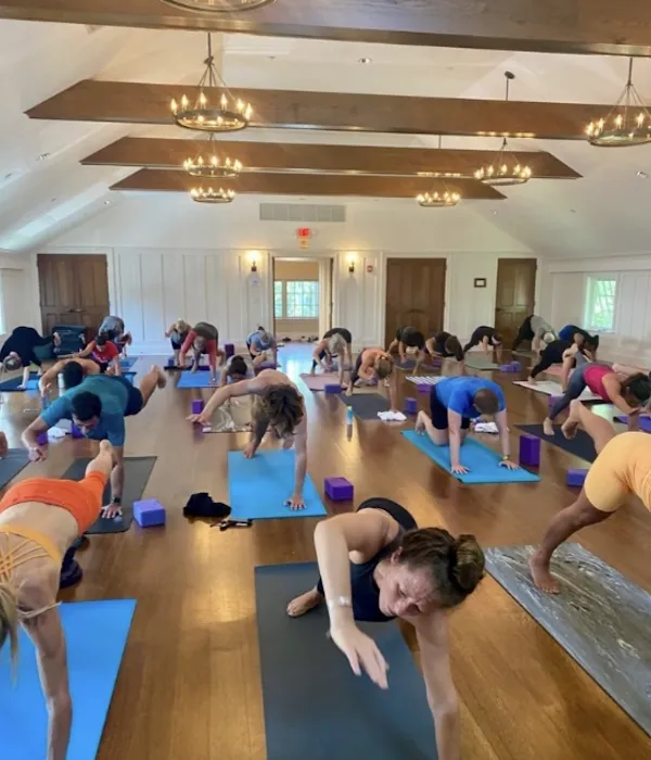 Mandala Yoga Center for Healing Arts 4