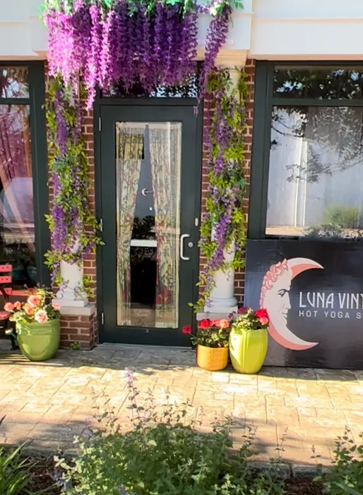 Luna Vinyasa Hot Yoga Studio 5