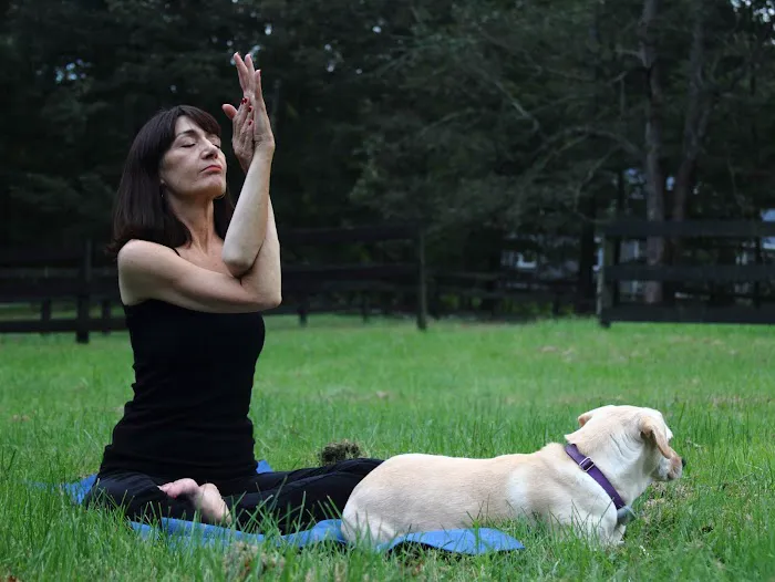 Debi Testa Yoga 5