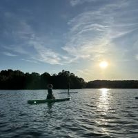 whole body wellness and yoga