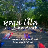Yoga Lila ico