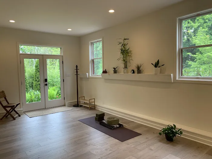 The Well - YOGA & MINDFULNESS Studio 5