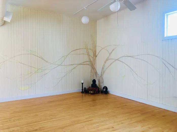 Root Yoga Studio 4
