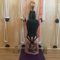 Root Yoga Studio ico