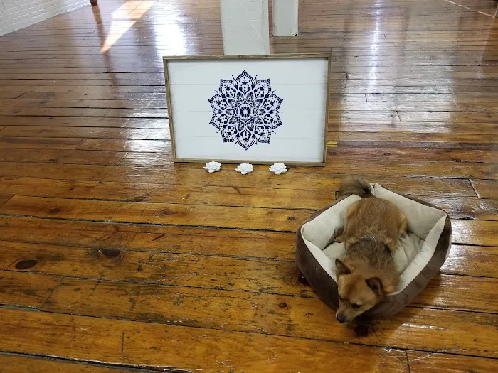 Blue Dandelion Yoga 5