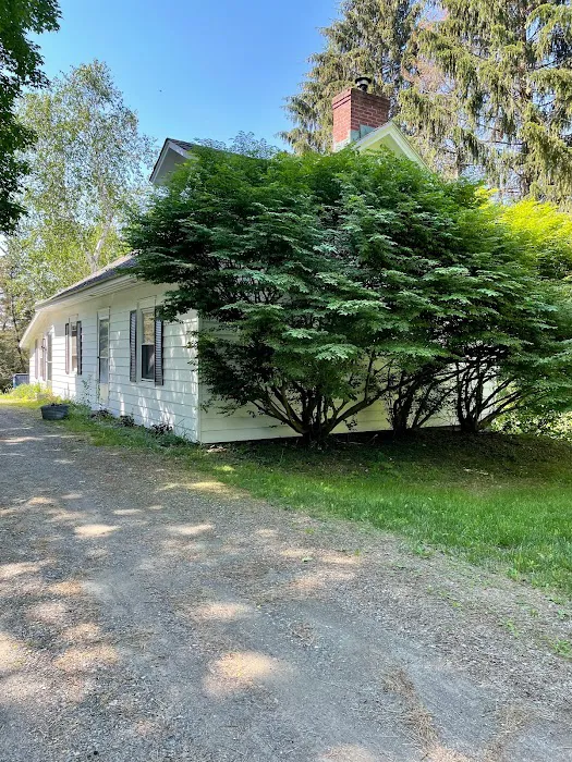 Amenia Yoga - a Place for Wellness 4