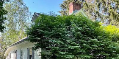 Amenia Yoga - a Place for Wellness