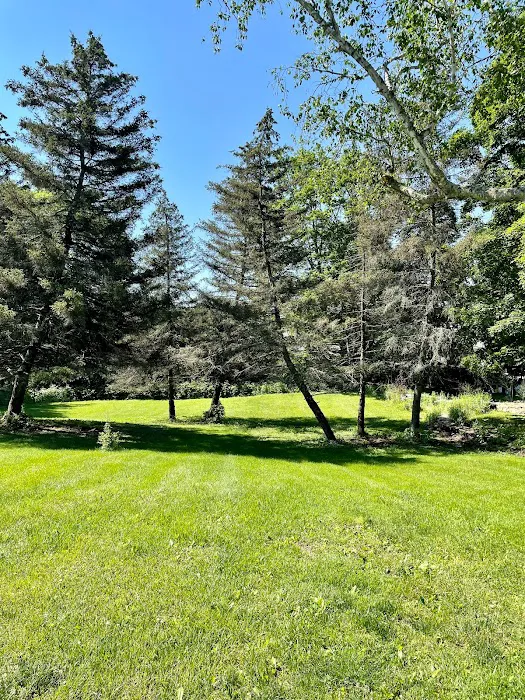 Amenia Yoga - a Place for Wellness 4