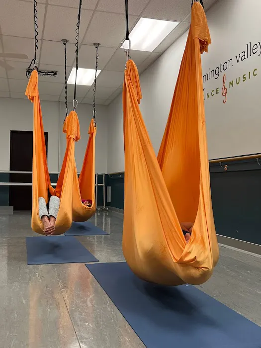 Sky's The Limit - Aerial Fitness & Yoga 4